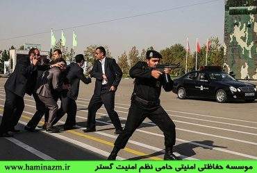 نیروی حفاطتی چه شخصی است و چه ویژگی‌هایی دارد؟