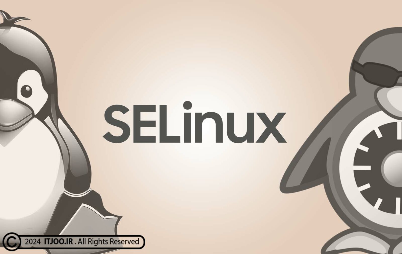 SELinux - اس ئی لینوکس