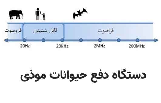 امواج فراصوت در دفع موش