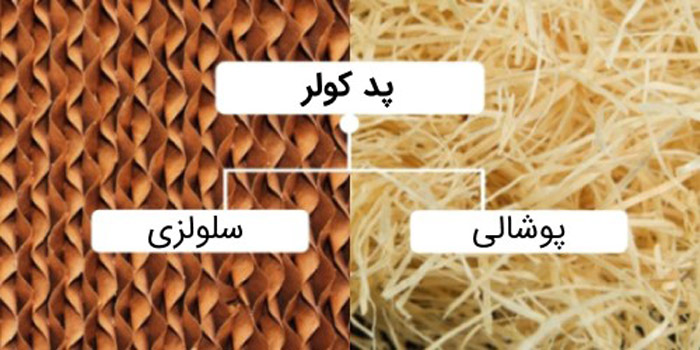 تفاوت پوشال سلولوزی و معمولی