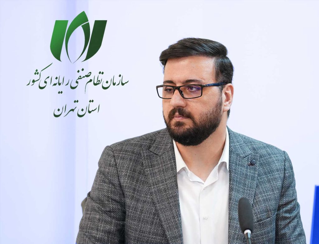 مهدی خدادادی - رییس کمیسیون سلامت دیجیتال سازمان نظام صنفی رایانهای استان تهران