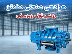روتس بلوئر روبوسکی